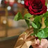 Person holding a red rose with a blurred background